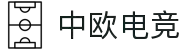 中欧电竞-连接东西方的电竞桥梁